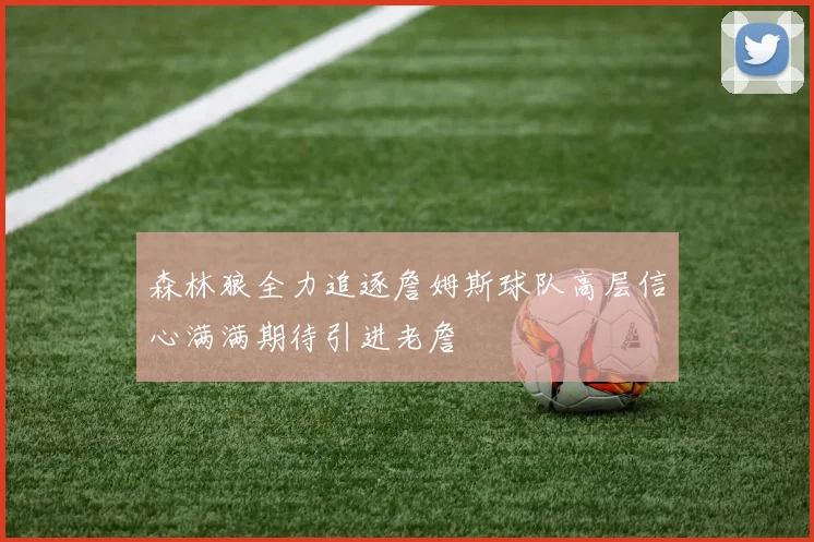 森林狼全力追逐詹姆斯球队高层信心满满期待引进老詹